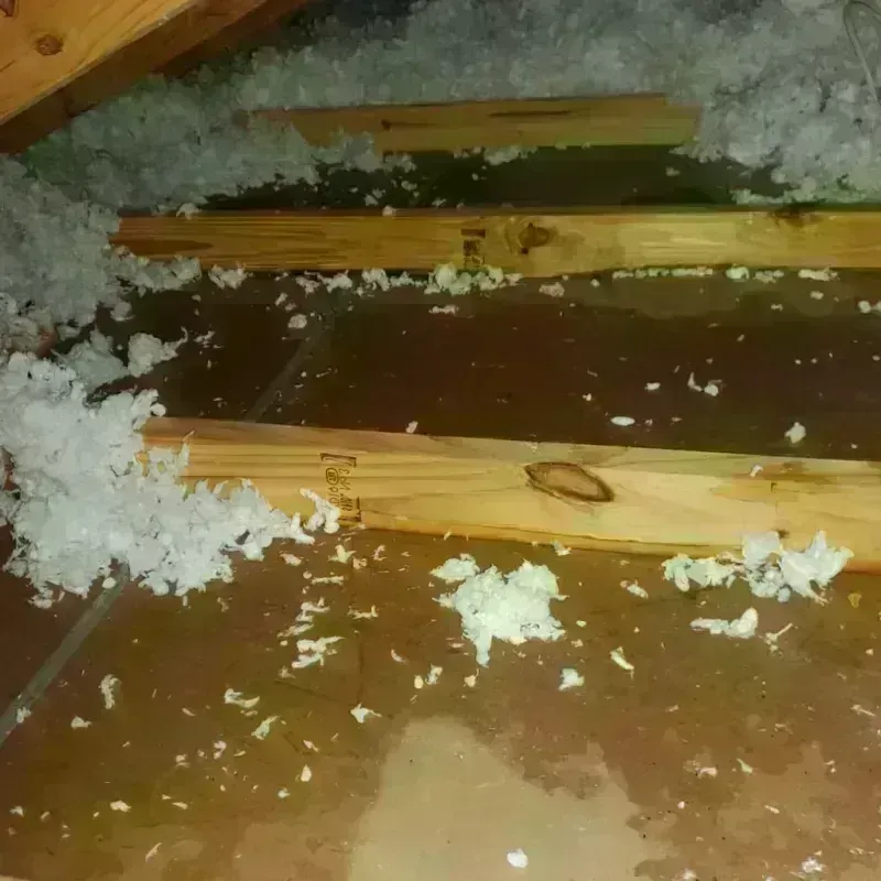 Attic Water Damage in Florence, CO