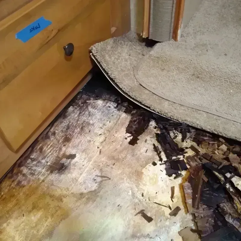 Wood Floor Water Damage in Florence, CO